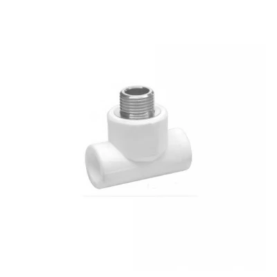 d20 Teu PPR d20x1/2"Mx20