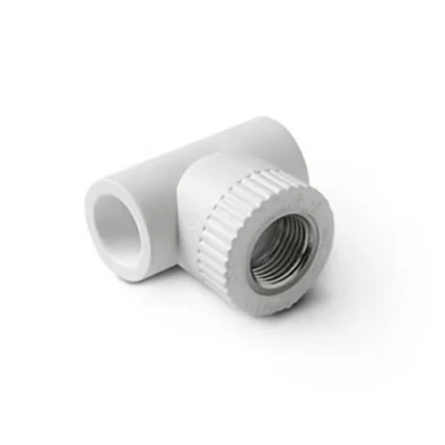 d20 Teu PPR d20x1/2"Fx20