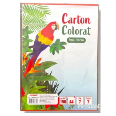 PROSTAND Carton colorat fata-verso 7 foi 7 culori A4 TPR A4-7DF /5 