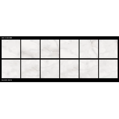 Gresie QSEC Silver Onyx Polished 600x600 gri PEI 4 L.-thumb-3