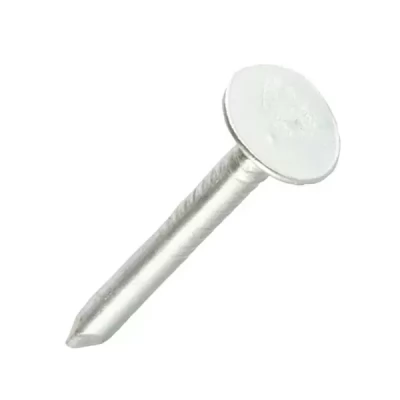 Cui cu palarie marita, zincat 2,5x25_50 buc.