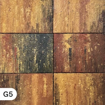 Pavaj Gotic G5 / 41x55x6-thumb-3