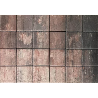 Pavaj S3 20x20x6 cm rosu H