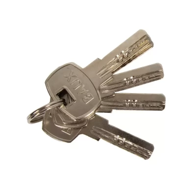 cilindru-siguranta_-60mm3030_cheie-cheie_corp-aluminiu_culoare-nichel-satin_5-chei-thumb-2