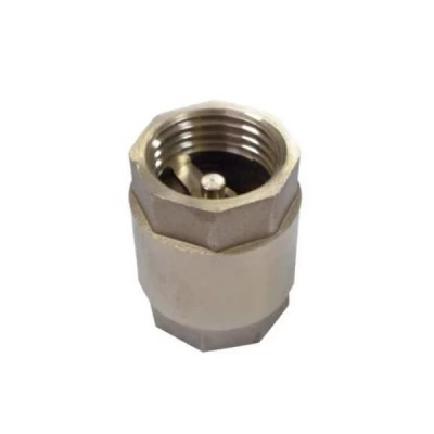 Supapa de sens cu pluta 1