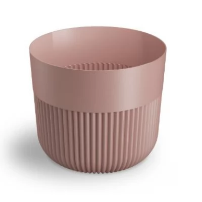 Dal 15 Pink Powder ghiveci Alia pink power 15