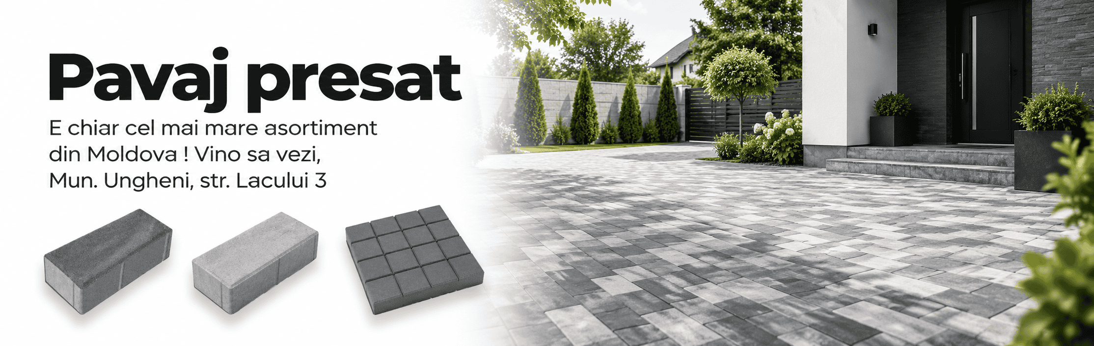 Catalog-banner